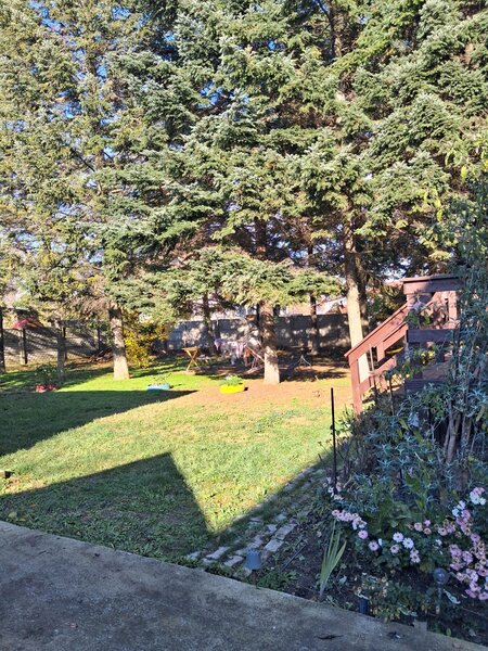 Snagov, central, teresa 40 mp,